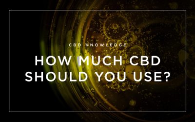 How Much CBD Should You Use