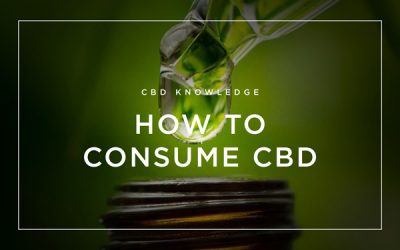 How to Consume CBD